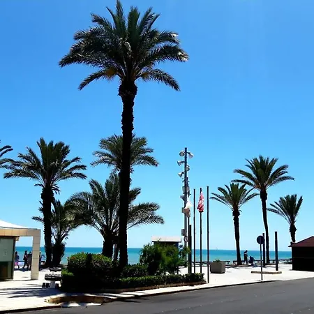 Estudio Playa Del Cura Torrevieja Exterior photo